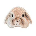 Lop Rabbit