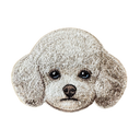 White Poodle