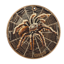 Tarantula