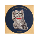 Lucky American Shorthair Cat