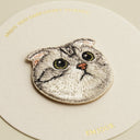 American Fold Shorthair Cat