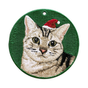 Christmas American Shorthair