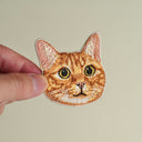 Orange Tabby Cat