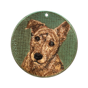 Tabby Dog／Brindle Dog