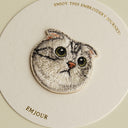 American Fold Shorthair Cat