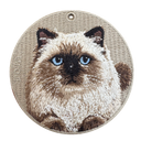 Himalayan Cat