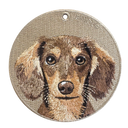 巧克力奶油長毛臘腸