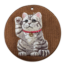 Lucky American Shorthair