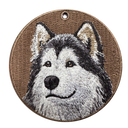 阿拉斯加雪橇犬