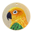 Sun Conure