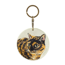 Tortoiseshell cat
