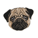 Pug