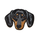 Black Dachshund