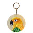 Sun Conure