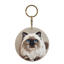 Himalayan Cat