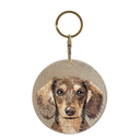 巧克力奶油長毛臘腸