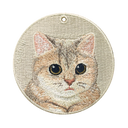 Blue&Gold Graded British Short-haired Cat