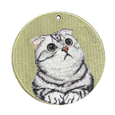 Scottish Fold