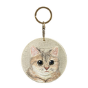 Blue&Gold Graded British Short-haired Cat