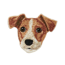 Jack Russell Terrier