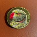 Ring-necked Parakeet