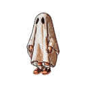 Little Boy in Ghost Costume