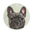 French bulldog BK