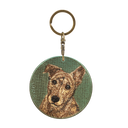 Tabby Dog／Brindle Dog