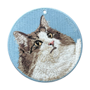 Norwegian Forest Cat