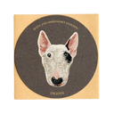Bull Terrier