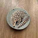 Pangolin