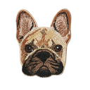 Black-Muzzled French Bulldog