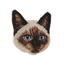 Siamese Cat
