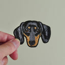 Black Dachshund