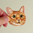Orange Tabby Cat