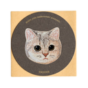 Blue Golden British Shorthair Cat