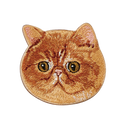 Garfield Cat