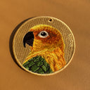 Sun Conure