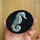 Seahorse
