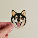 Black Shiba Inu