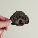 Black Poodle