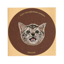 Baby American Shorthair Cat