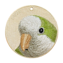 Green Monk Parakeet