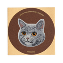 British Shorthair Cat