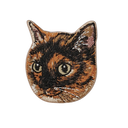 Tortoiseshell Cat