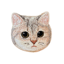 Blue Golden British Shorthair Cat