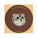 American Fold Shorthair Cat