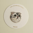 American Fold Shorthair Cat