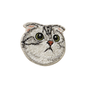 American Fold Shorthair Cat