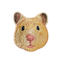 Golden Hamster